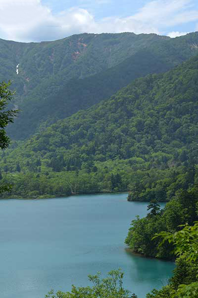 f0212586_17535044.jpg