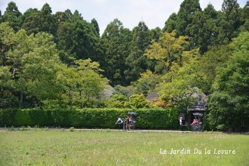 京都に2度・・・。_f0329586_17500612.jpg