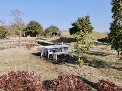 d0366488_23112144.jpg