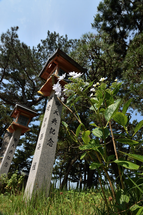 2017　06　23　帰省時撮影　紫陽花撮影から公園へ_a0143491_23180285.jpg