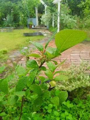 b0266191_09174440.jpg
