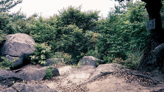 e0176993_06531066.jpg