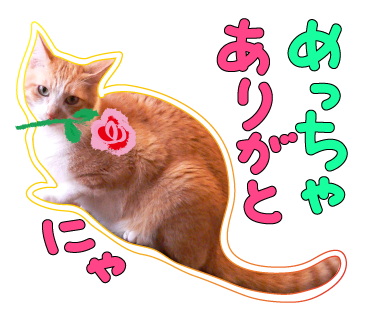 a0333195_21492472.png