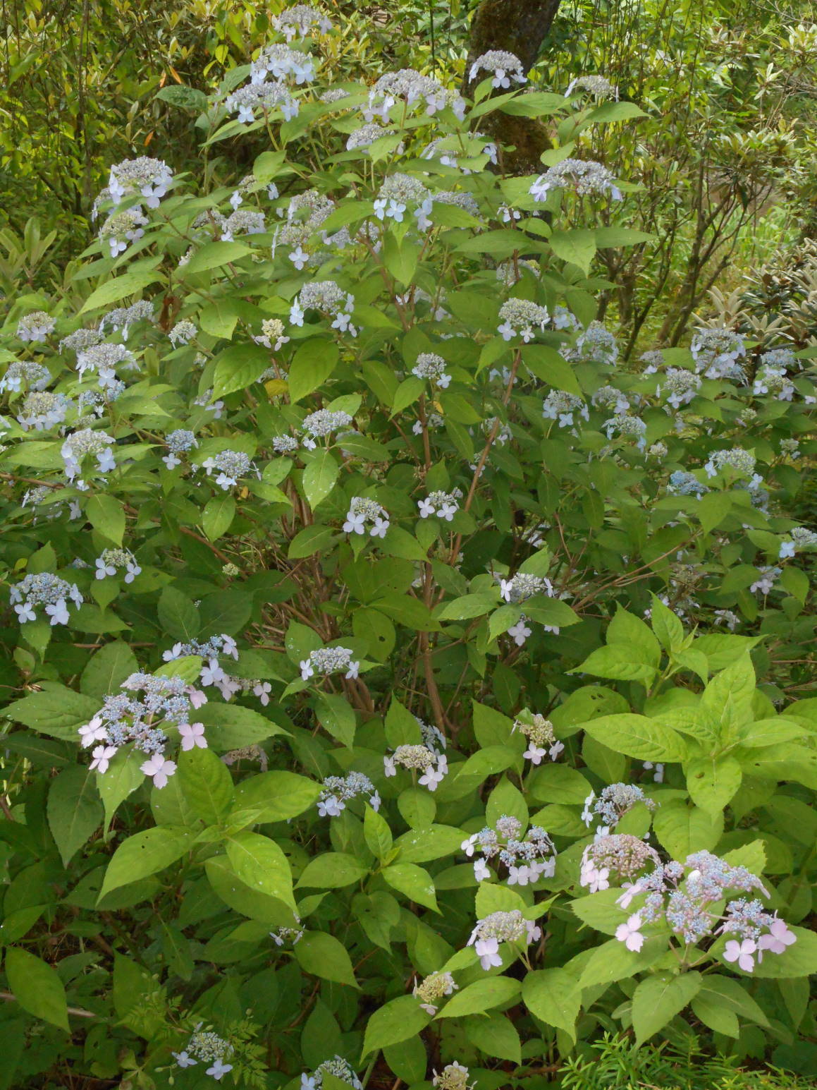 f0075595_23082841.jpg