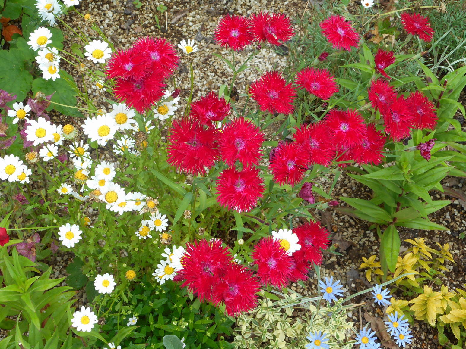 f0075595_23170410.jpg