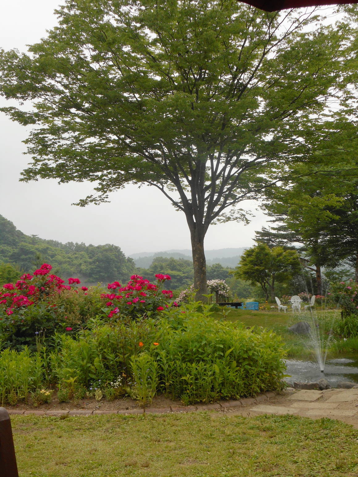 f0075595_23171798.jpg