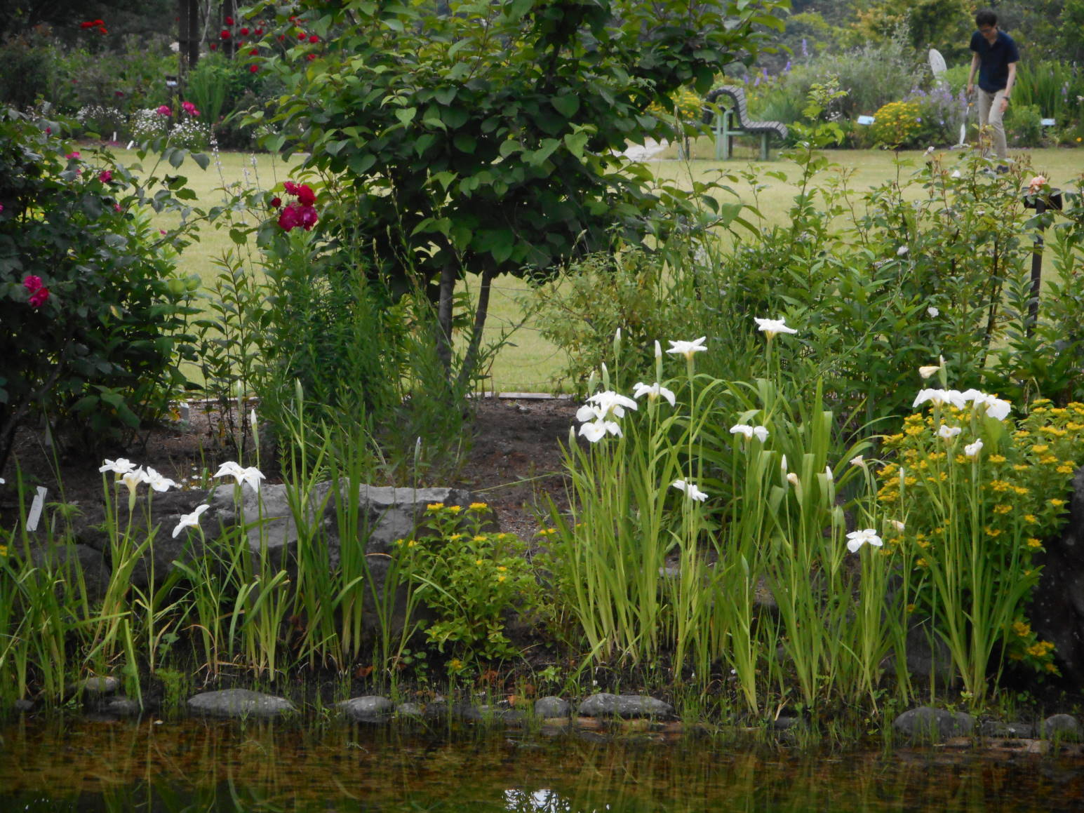 f0075595_23200940.jpg