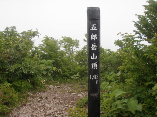 d0342206_16391304.jpg