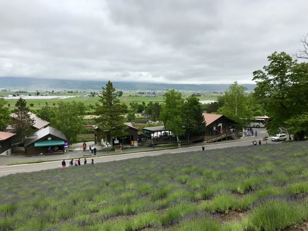 職員旅行『北海道』一班 ④完結編_f0299108_11402164.jpg