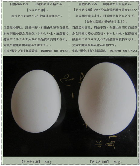 f0231709_14175123.png