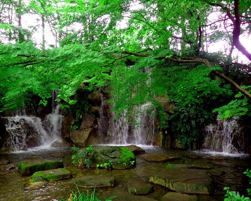 郷土の森 滝のある風景 ６月２５日 府中市にて シニアデジカメギャラリー