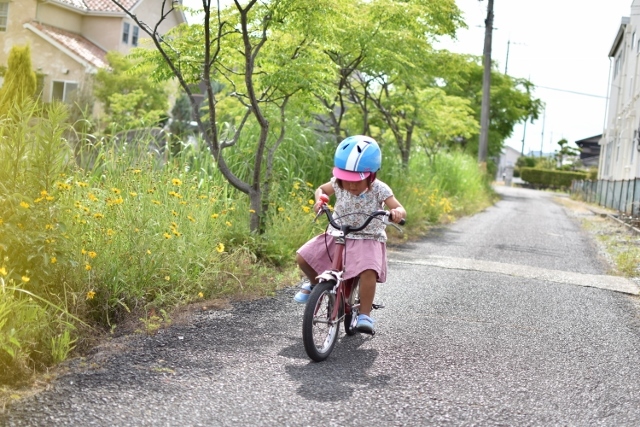 絶滅させるな！自転車練習風景_a0274324_06441391.jpg