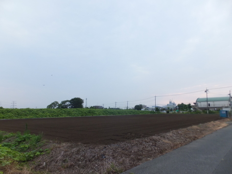 f0144724_21160743.jpg
