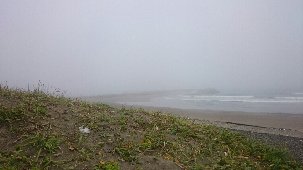 a0284729_21282785.jpg