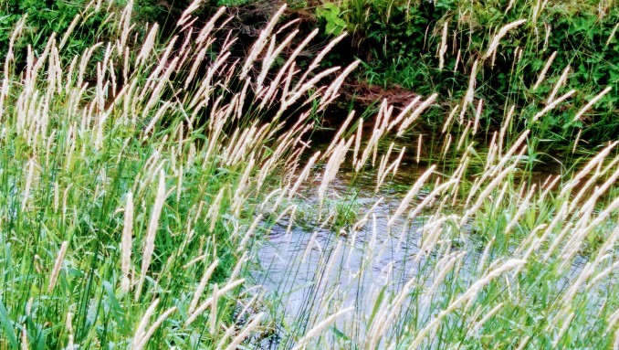 b0246533_14352089.jpg