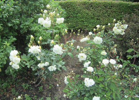 続 六甲山カンツリーハウス_b0177436_21293784.jpg