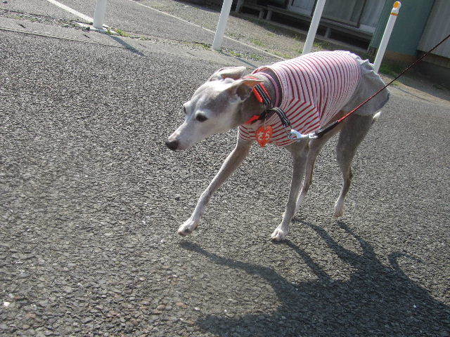 f0363538_15015100.jpg