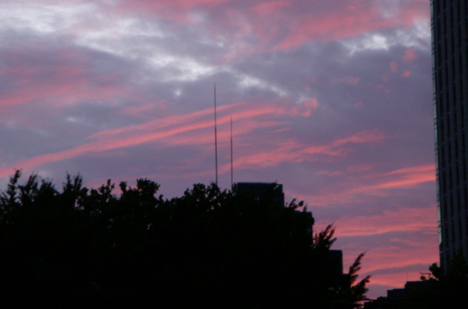 b0019140_1772099.png