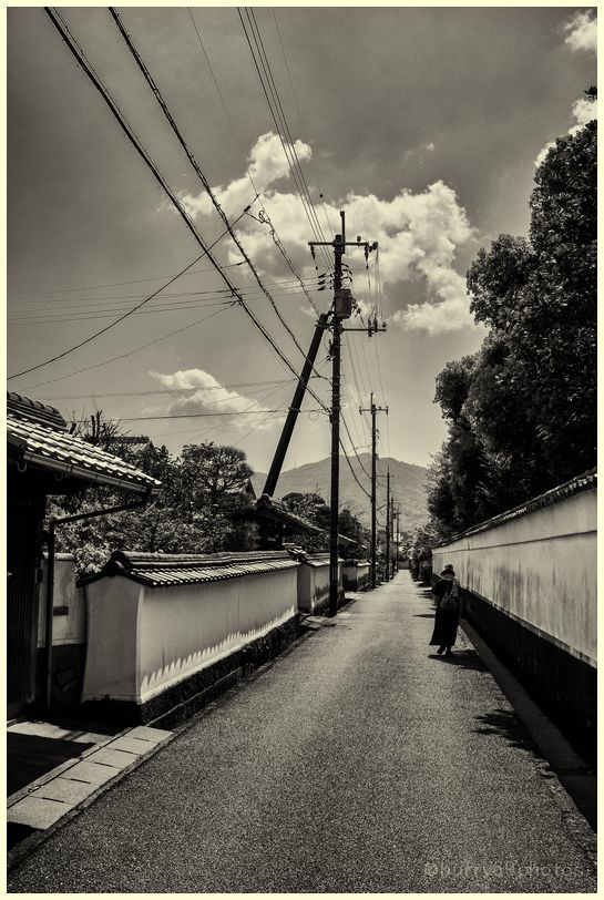 Record of the memory #66 Travel 9th day Hagi castle town_e0063851_1533214.jpg
