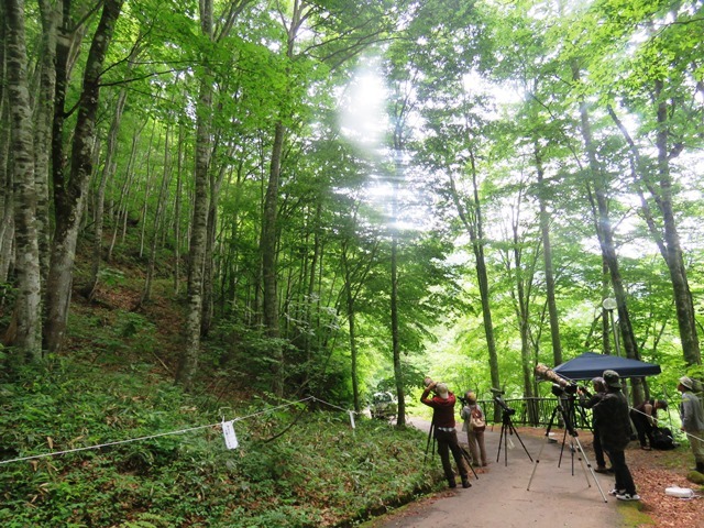 b0227552_20484995.jpg