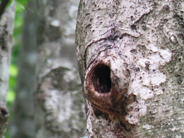 b0227552_20491731.jpg