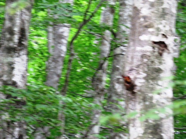 b0227552_20492457.jpg