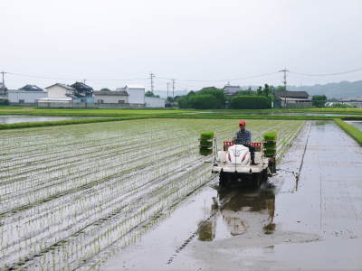 七城米 長尾農園 平成29年度の田植えを現地取材_a0254656_17153432.jpg