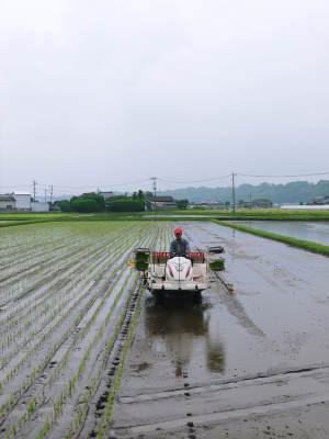 七城米 長尾農園 平成29年度の田植えを現地取材_a0254656_18001698.jpg