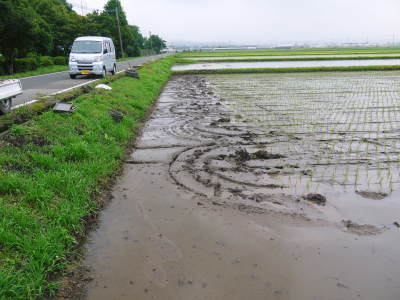 七城米 長尾農園 平成29年度の田植えを現地取材_a0254656_18284812.jpg