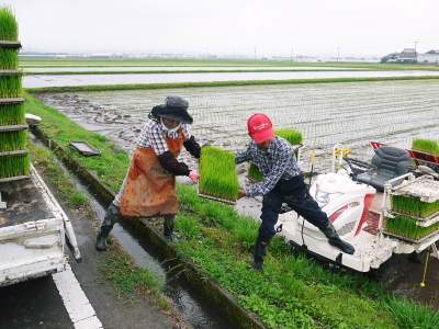七城米 長尾農園 平成29年度の田植えを現地取材_a0254656_18373430.jpg