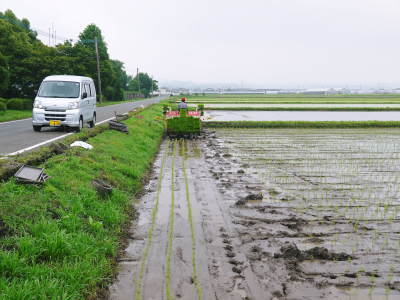 七城米 長尾農園 平成29年度の田植えを現地取材_a0254656_18453720.jpg
