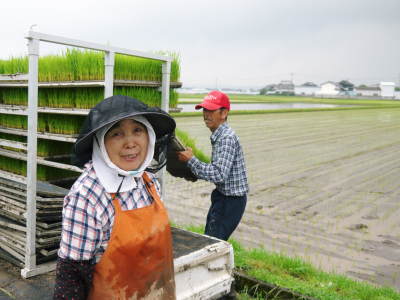 七城米 長尾農園 平成29年度の田植えを現地取材_a0254656_18565851.jpg