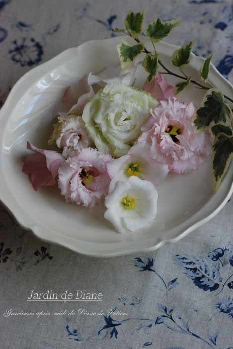 f0360256_19090193.jpg