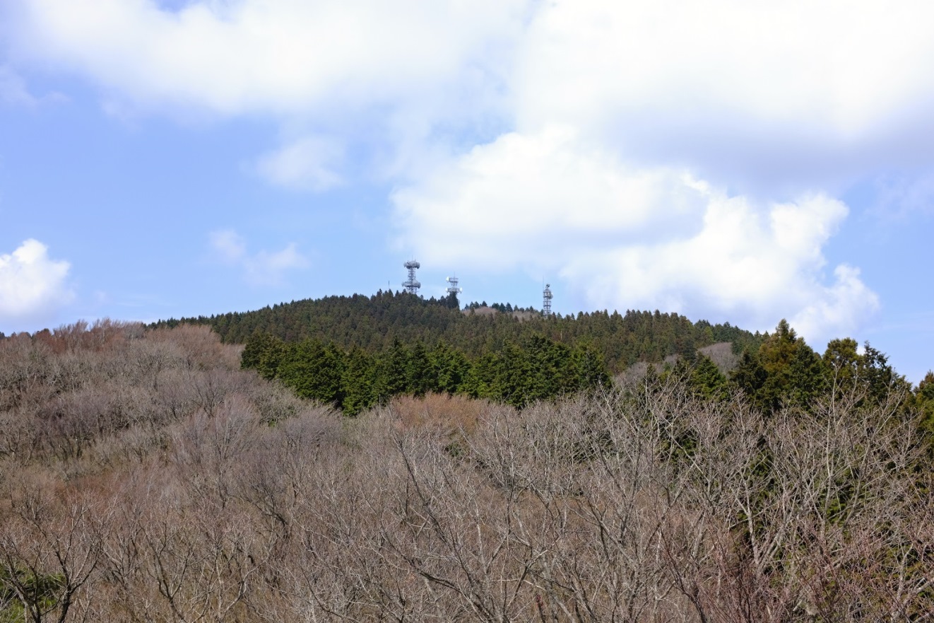 17 04 16 金剛山 葛城岳 湧出岳 中葛城山 高谷山 山野草一覧 へるしーらいふ