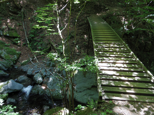 川苔山を長長と（大量画像注意報）_c0051781_202265.jpg