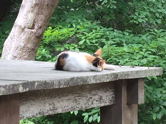 b0336787_23335942.jpeg