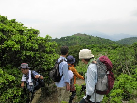 2017年度　第3回公開ハイキング「蓬莱山」_d0207490_1052938.jpg