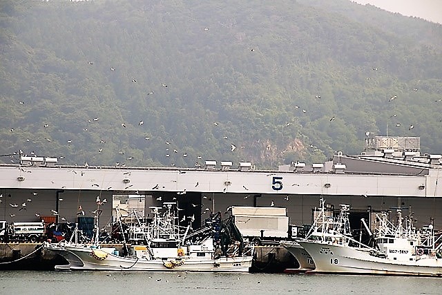 d0181492_00304147.jpg
