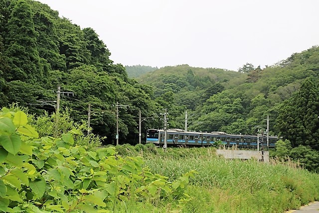 d0181492_08393291.jpg