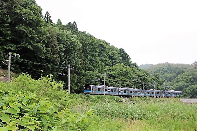 d0181492_08394392.jpg