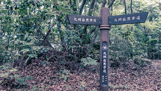 e0176993_07202708.jpg