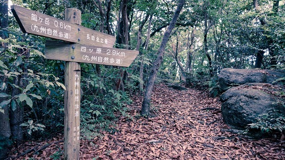 e0176993_07202815.jpg