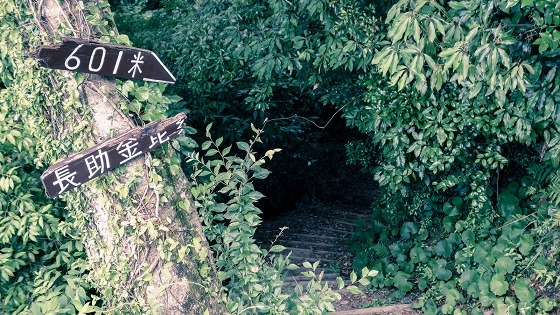 e0176993_07202909.jpg
