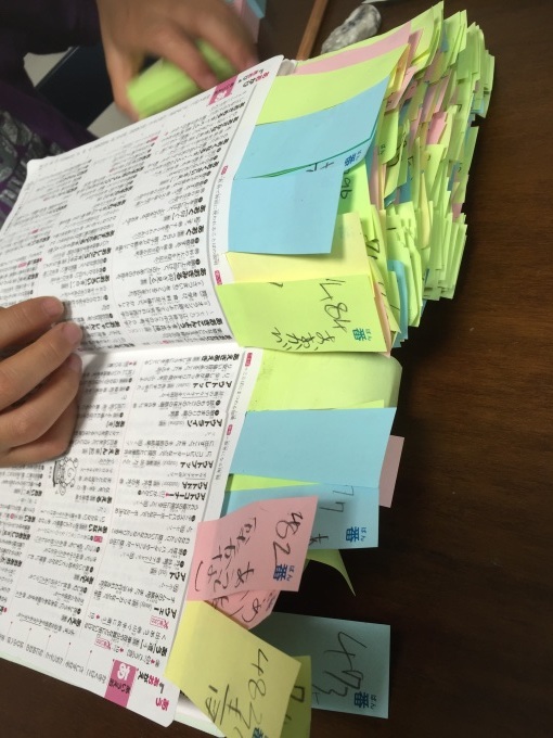 辞書引き学習はじめました 小2 わたし的日常 東京 おもちゃで幼児教育 中学受験