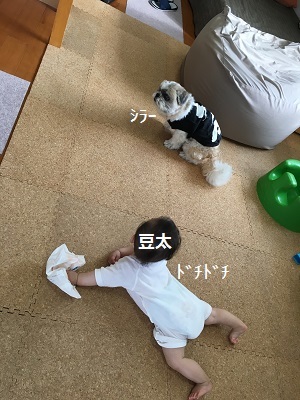 f0372998_09512342.jpg