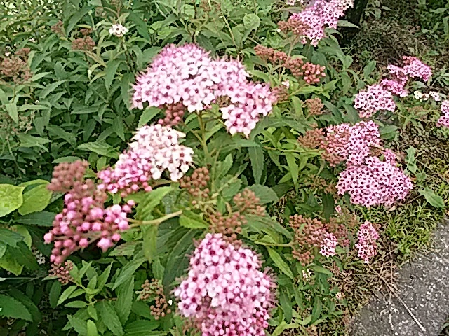 f0231709_00100557.jpg