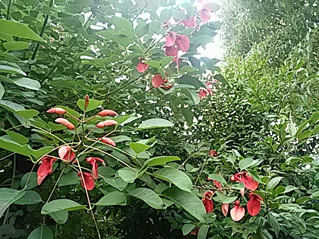 f0231709_00103726.jpg