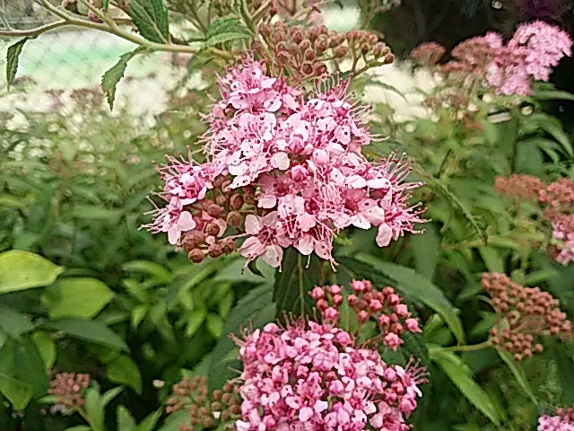 f0231709_00134692.jpg