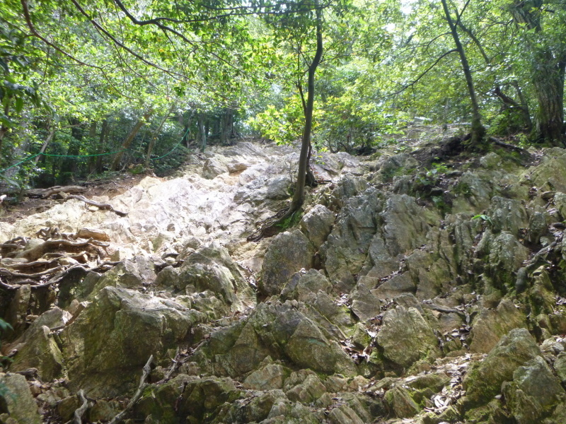 d0170615_20394990.jpg