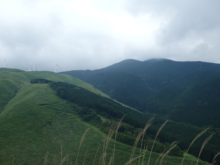f0193521_74535.jpg